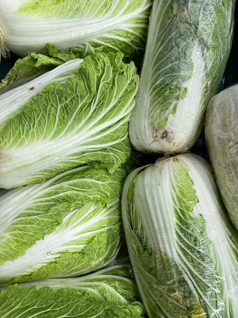 Close up of Green Cabbages