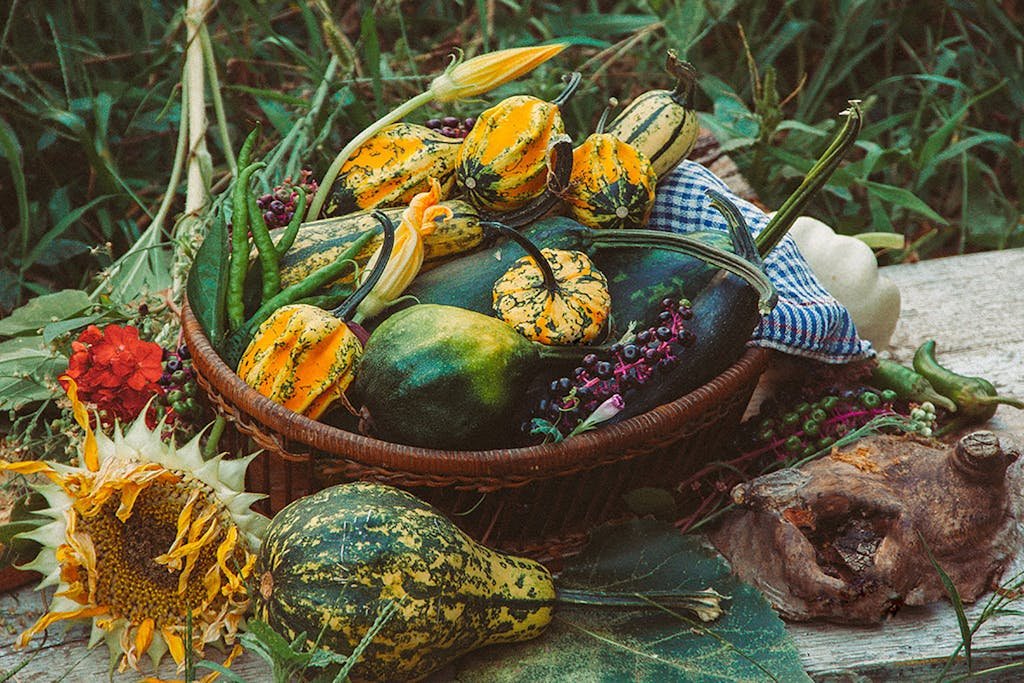A colorful lineup of fall's seasonal favorites, from pumpkins and gourds to leafy greens and root veggies.
