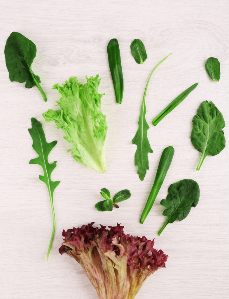 Maintain that post-travel glow with our easy recovery tips. Dive into hydration, nutrition, and gentle exercise for a smooth transition.